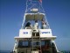 Thumbs/tn_seasprite 1.jpg